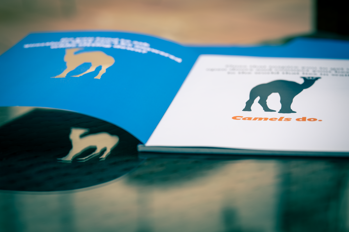 North Charles Street Design Organization logo